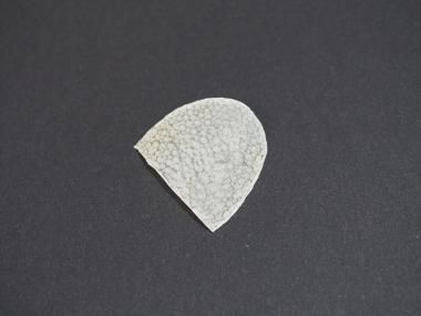 サメ皮　弦溝補修用